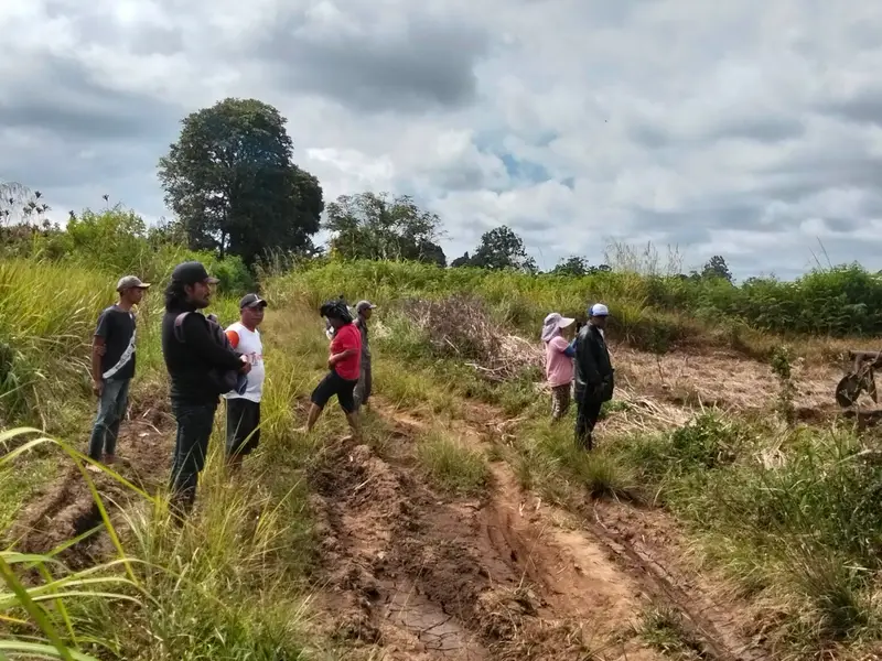 Tanah Pangguruan Diolah Pemilik, Jamilun Sihotang Klaim Kepemilikan Didukung Putusan PN dan SHM