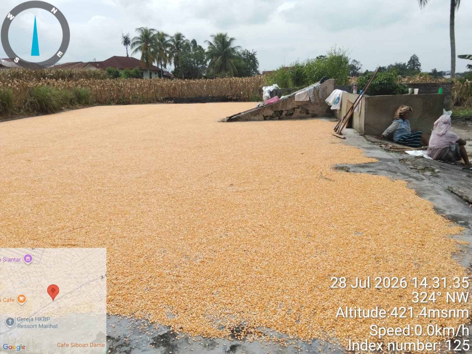 Dukung Ketahanan Pangan, Bhabinkamtibmas Polsek Siantar Marihat Sambangi Petani Jagung Serap Aspirasi Soal Harga dan Bulog