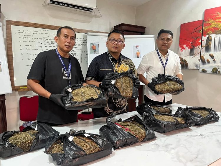 Bandar Ganja di Percut Sei Tuan Dibekuk, Polisi Sita 9,4 Kilogram Ganja