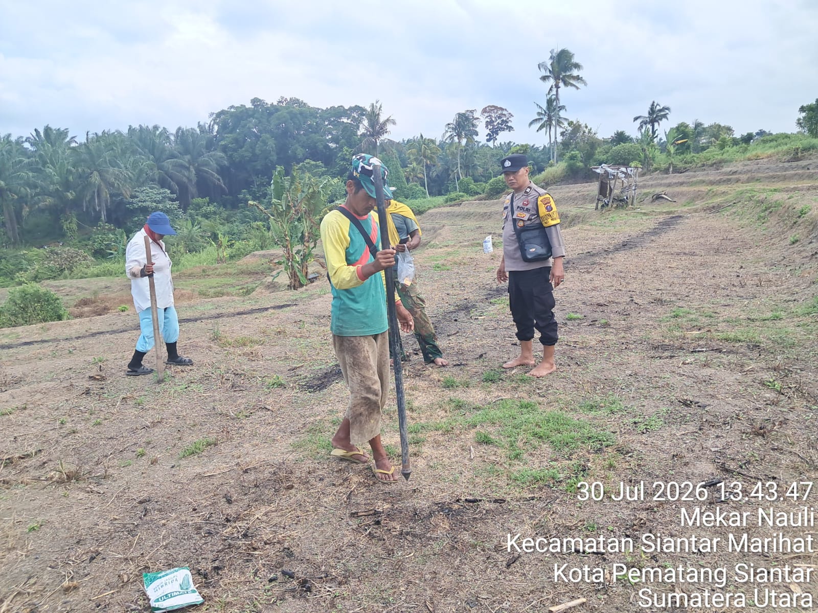 Dukung Ketahanan Pangan, Bhabinkamtibmas Polsek Siantar Timur Turun ke Lahan Jagung Petani Binaan