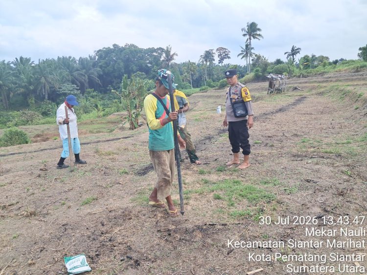 Dukung Asta Cita Ketahanan Pangan, Bhabinkamtibmas Polsek Siantar Timur Tinjau Lahan Jagung Petani Binaan