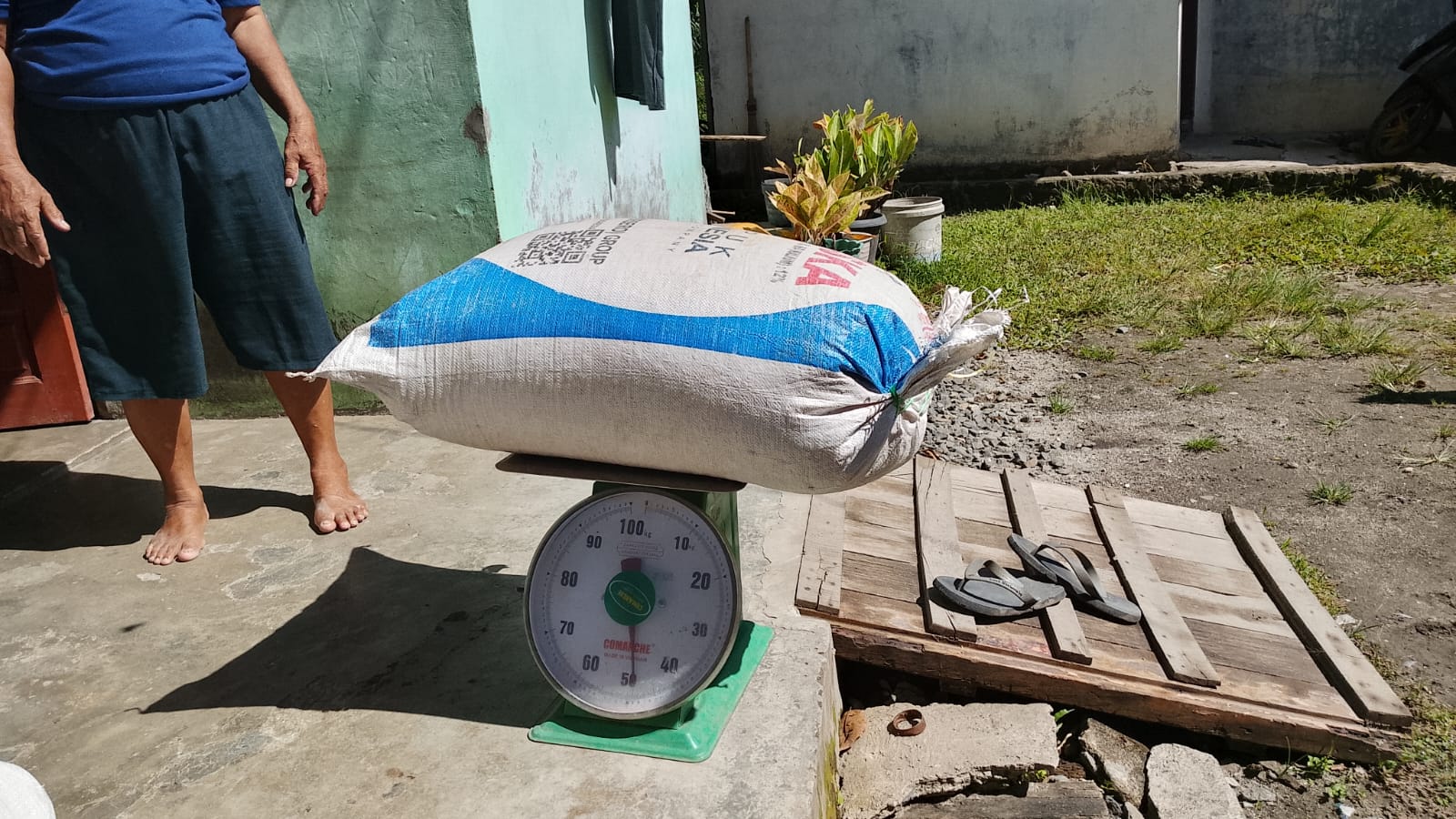 Bhabinkamtibmas Dampingi Petani Jual Jagung ke Bulog, Wujud Nyata Dukungan Ketahanan Pangan