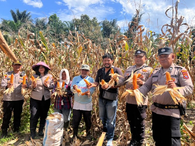 Bukan Sekadar Patroli, Polsek Siantar Selatan Turun ke Ladang Kawal Ketahanan Pangan