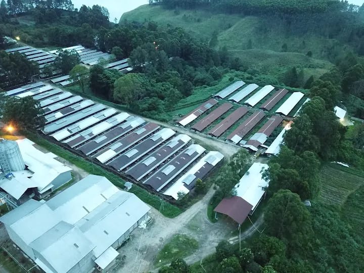 Limbah, Tata Ruang hingga Dugaan Kerugian Negara: PETA SUMUT Bidik PT Allegrindo