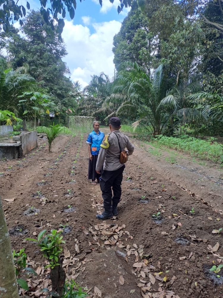 Pupuk Subsidi Langka, Beban Petani Makin Berat: Polisi Serap Keluhan dari Ladang Warga