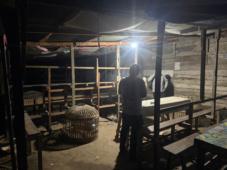 Heboh Dugaan Sabung Ayam di Karang Bangun, Jatanras Turun Tangan: Tak Ditemukan Aktivitas