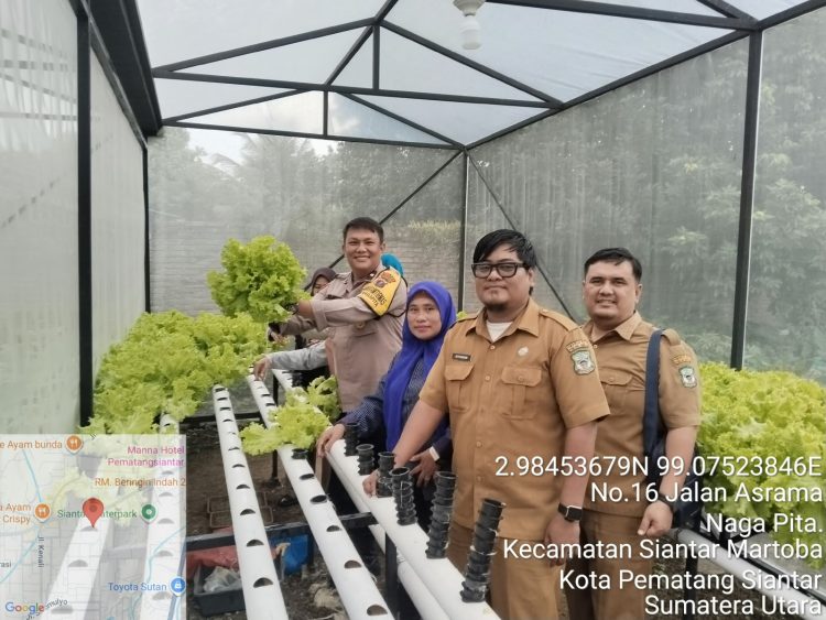 Dari Kebun Hidroponik ke Kamtibmas, Bhabinkamtibmas Polsek Siantar Martoba Turun Langsung