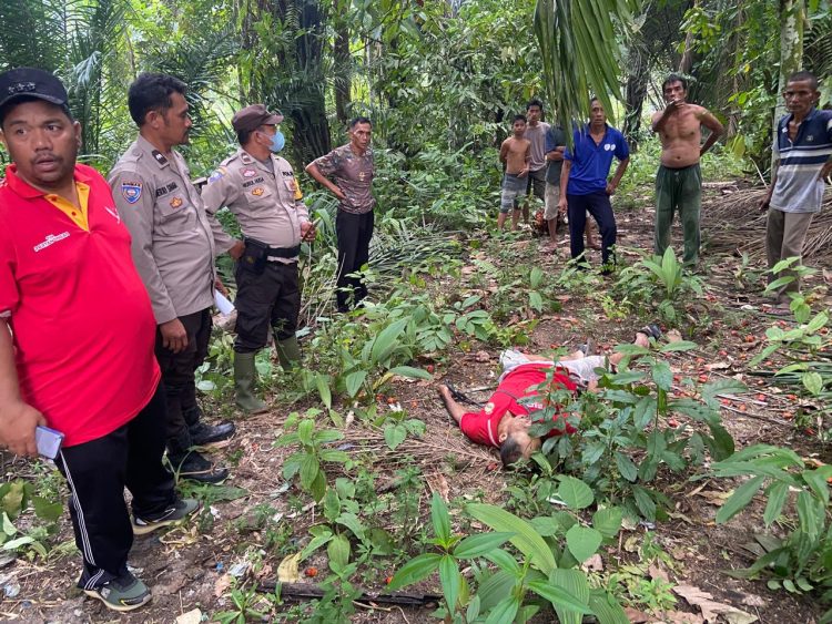 Hendak Panen Sawit, Kermalinson Sinaga Ditemukan Tak Bernyawa di Bawah Pohon