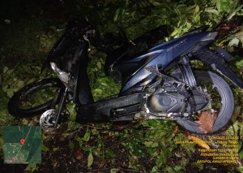 Tragedi Malam Gerimis di Tapian Dolok, Pengendara Honda Beat Tewas Tertimpa Pohon Mahoni