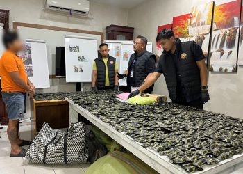 Polrestabes Medan Bongkar Gudang Narkoba Jaringan Malaysia, Sita 10.000 Ekstasi dan 1.778 Vape