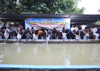 Dukung Ketahanan Pangan, Kapolrestabes Medan dan Wakapolda Sumut Tebar 1.997 Bibit Ikan Gurami di Jermal XV