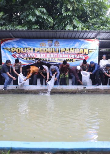 Dukung Ketahanan Pangan, Kapolrestabes Medan dan Wakapolda Sumut Tebar 1.997 Bibit Ikan Gurami di Jermal XV