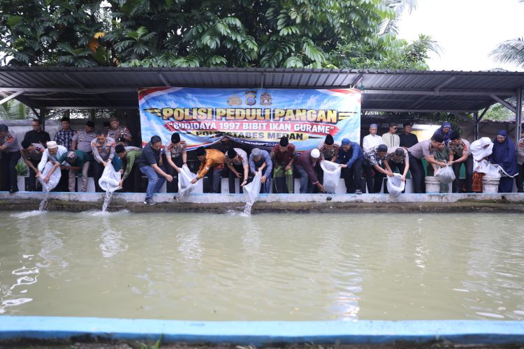 Dukung Ketahanan Pangan, Kapolrestabes Medan dan Wakapolda Sumut Tebar 1.997 Bibit Ikan Gurami di Jermal XV