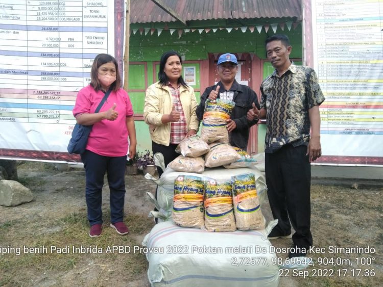 Petani di Samosir saat menerima bantuan bibit padi, Kamis 22 September 2022