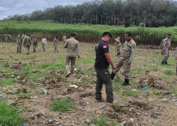 Petugas Satpol PP saat menertibkan tanaman ubi di Lahan Eks Godyear milik Pemkab Simalungun di Tapian Dolok