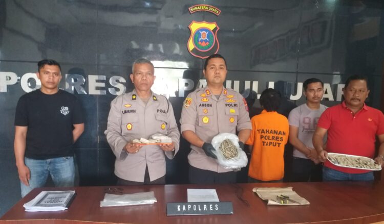 Kapolres Taput AKBP Johanson Sianturi, saat konfrensi pers pengungkapan kasus narkoba.