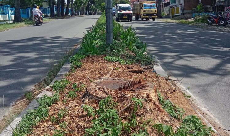 Salah satu ruas jalan  di Kota Siantar yang taman kotanya sudah ditebang pohonnya.