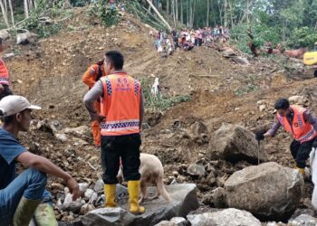 Petugas Gabungan menurunkan alat berat dan anjing pelacak, mencari korban tertimbun material longsir Dolok Simarsolpah.