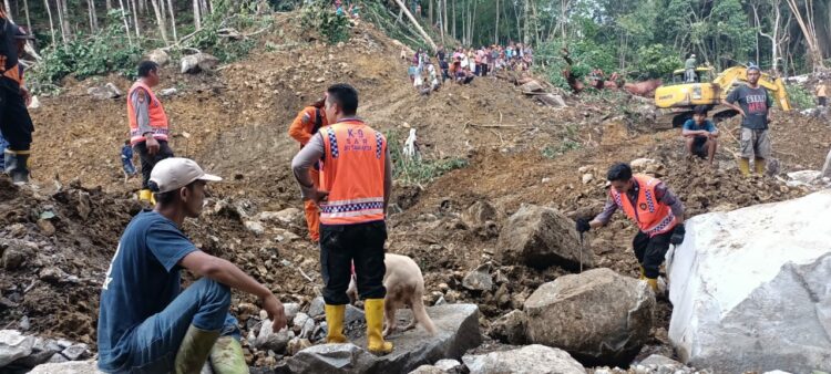 Petugas Gabungan menurunkan alat berat dan anjing pelacak, mencari korban tertimbun material longsir Dolok Simarsolpah.