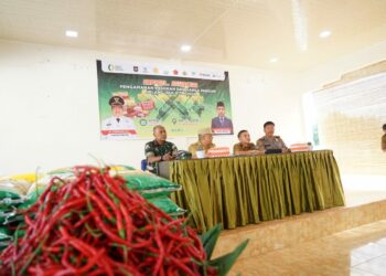 Pj Wali Kota Tebing Tinggi, Drs Syarmadani MSi, menghadiri secara virtual Rapat Koordinasi (Rakor) Pengendalian Inflasi Tahun 2024.