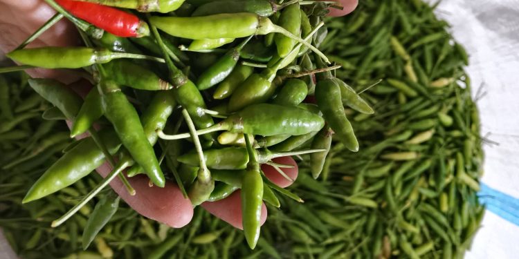 Harga Pangan Hari ke-4 Ramadhan: Cabai Rawit dan Telur Naik, Beras Premium Turun