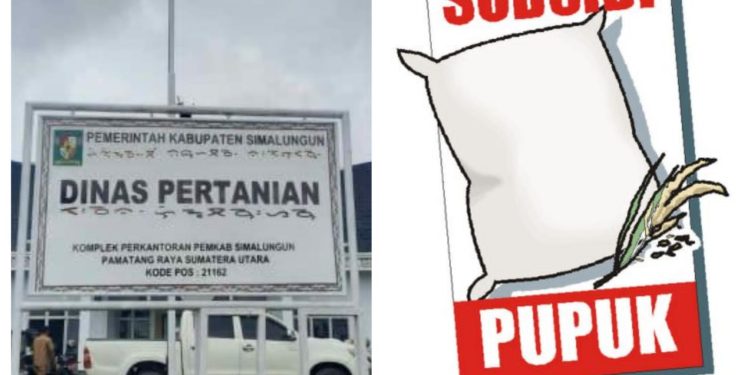 Soal Pupuk Subsidi Langka di Hutabayu Raja Pemkab Simalungun Bungkam, Ketua Koptan: Dinas Terkesan Tak Mau Tahu