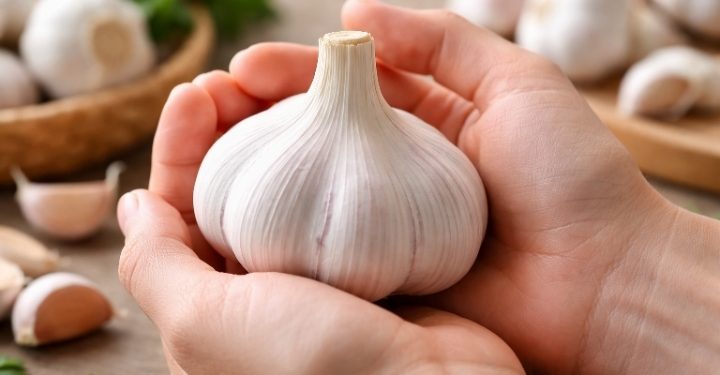 Khasiat Bawang Putih bagi Kesehatan dan Cara Sederhana Mengonsumsinya