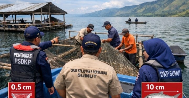 Marak Tangkap Pora-Pora di Danau Toba, Pemprov Sumut Turunkan Tim Pengawasan
