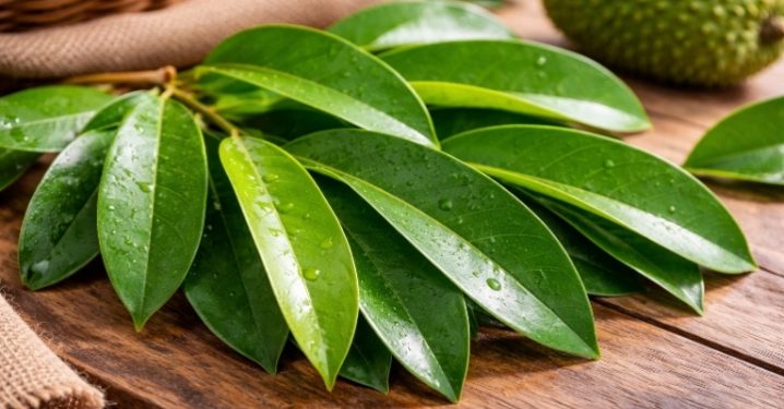 Daun Sirsak Campur Madu Disebut Ampuh Redakan Sakit Pinggang