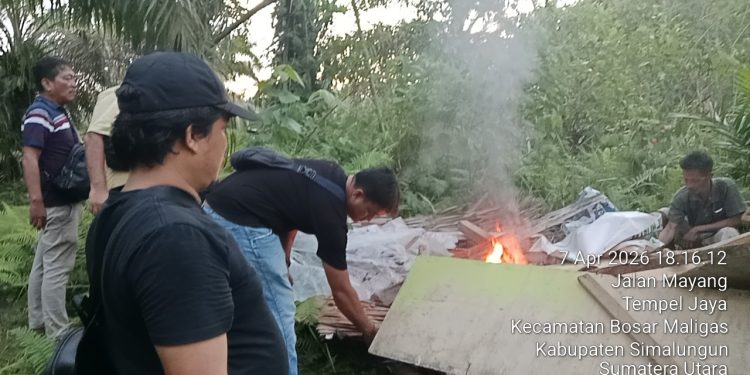 Digerebek Polisi, Lapak Narkoba di Perladangan Boluk Dibakar Hingga Rata Tanah