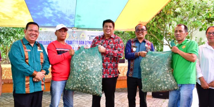 Samosir Didorong jadi Sentra Bawang Putih, Vandiko: Program Strategis Presiden Dorong Ekonomi Petani