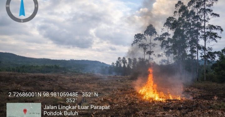 Hutan Negara Dibakar! Ribuan Pohon di Eks Lahan TPL Simalungun Ludes, Siapa Dalangnya?