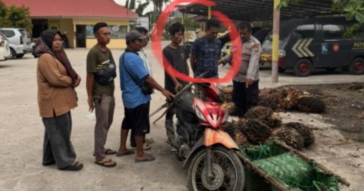 Sering Beraksi, Akhirnya Tertangkap! Dua Pencuri Sawit Diamankan saat Bawa Hasil Curian