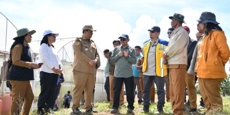 Samosir Disiapkan Jadi Raja Bawang Putih! Vandiko Gandeng Pemerintah Pusat, Target 320 Hektare Siap Panen