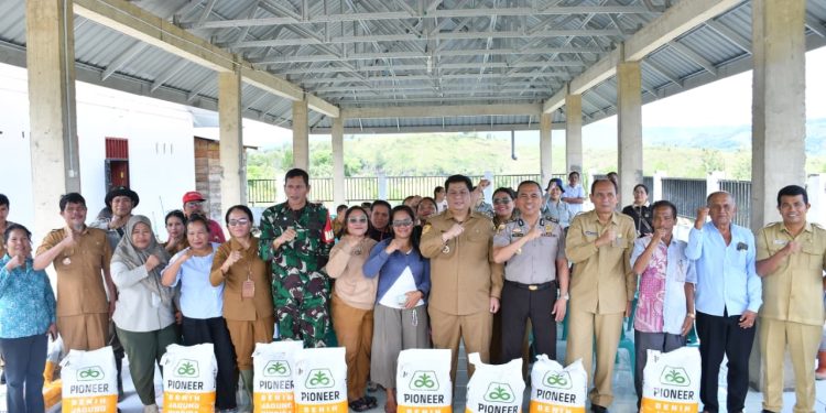 Gubsu Bantu Bibit Jagung 40 Hektare, Bupati Vandiko Turun Langsung Tanam Bersama Petani