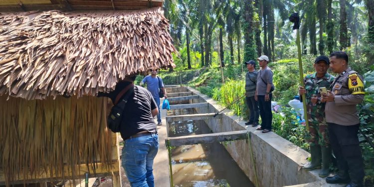 Polres Simalungun Gerebek Sarang Narkoba di Tanah Jawa, 5 Orang Diciduk dan Hampir 100 Gram Sabu Disita