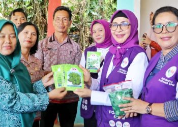 Dari Balita Hingga Lansia, Posyandu di Simalungun Kini Bertransformasi Total
