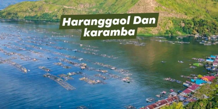Warga Haranggaol Bersuara: “Zero KJA, Limbah Sebabkan Drop Oksigen hingga Keramba Pukat Bertambah”