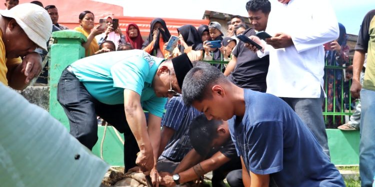 Hari Raya Idul Adha 1447 H di Kabupaten Simalungun: Suasana Syahdu, Bupati Sembelih Langsung Hewan Kurban