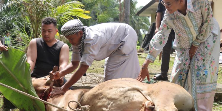 Polres Pematangsiantar Sembelih 8 Hewan Kurban, Bagikan 801 Kupon Daging kepada Masyarakat