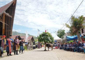 Ritual Sakral Horja Bius Kembali Digelar di Pusuk Buhit, Wujud Syukur Masyarakat Batak dan Upaya Lestarikan Warisan Leluhur