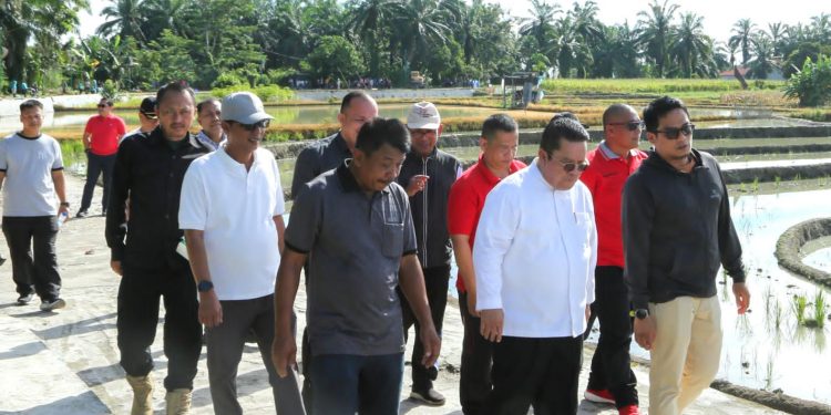Wesly Turun Langsung Bersihkan Drainase Sawah, Program Jumpa Berlian Digaungkan hingga ke Lingkungan Warga