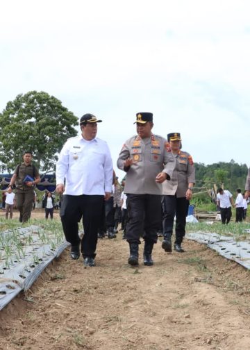 Kapolda Sumut dan Bupati Samosir Tinjau Pengembangan Bawang Putih, Dukung Swasembada Pangan Nasional