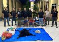 30 Kilogram Sisik Trenggiling hingga Kulit Beruang Disita, Polres Simalungun Bongkar Perdagangan Satwa Dilindungi
