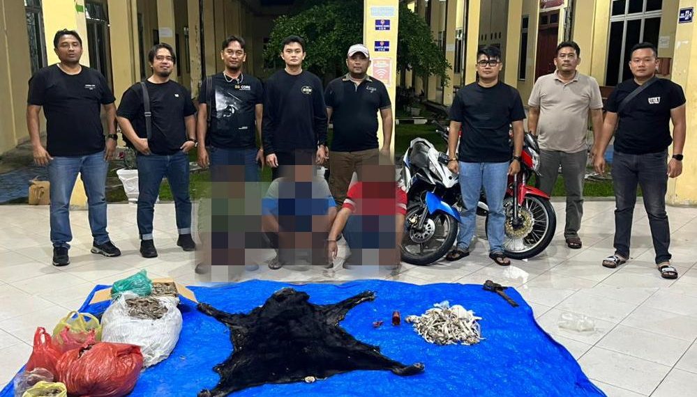 30 Kilogram Sisik Trenggiling hingga Kulit Beruang Disita, Polres Simalungun Bongkar Perdagangan Satwa Dilindungi