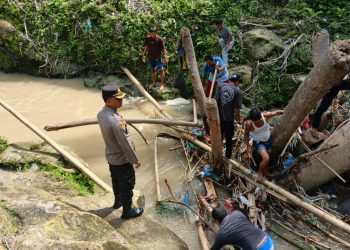 Jembatan Bambu Ambruk, Seorang Petani Diduga Hanyut di Sungai Bah Tongguran