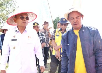 Panen Raya Cabai Lokal Siboras, Bupati Simalungun Dorong Komoditas Unggulan Tingkatkan Kesejahteraan Petani