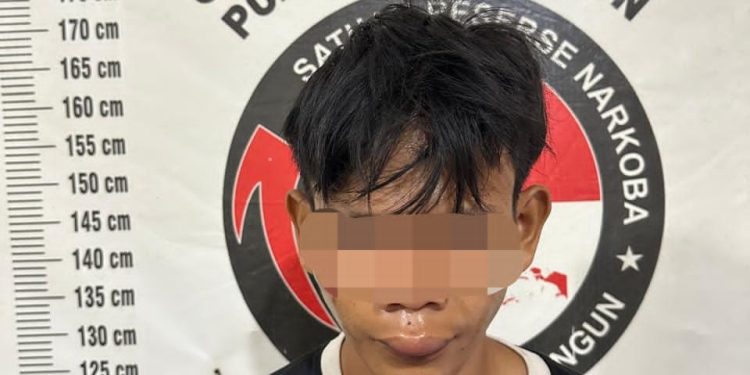 Tindak Lanjut Laporan Warga, Polres Simalungun Tangkap Pengedar Sabu dengan Barang Bukti 31,52 Gram di Bandar