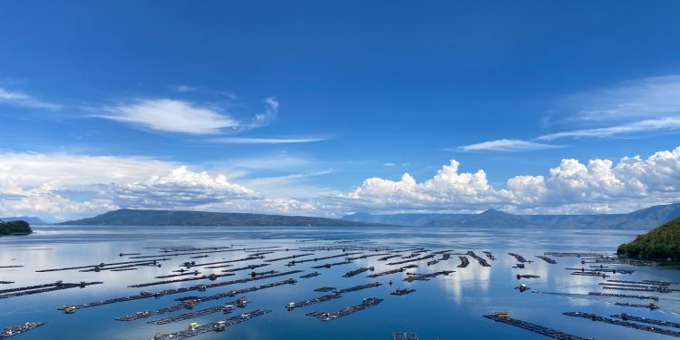 Deklarasi Nol KJA Tinggal Janji? Warga Haranggaol Pertanyakan Keseriusan Pemerintah Selamatkan Danau Toba