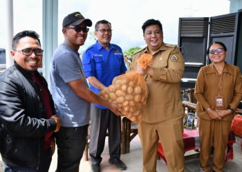 Petani Samosir Terima Bantuan 5 Ton Bibit Kentang
